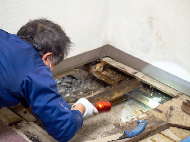 Best Water Damage Restoration  in Pendleton, OR