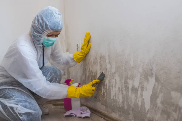 Best Mold Testing  in Pendleton, OR