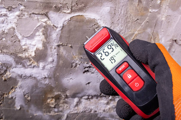Best Professional Mold Removal  in Pendleton, OR