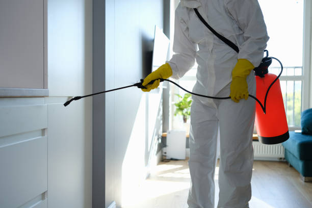 Best Fast Mold Removal  in Pendleton, OR