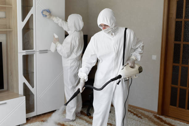 Best Attic Mold Removal  in Pendleton, OR