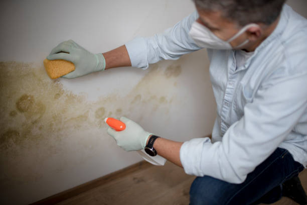Best Mold Testing  in Pendleton, OR