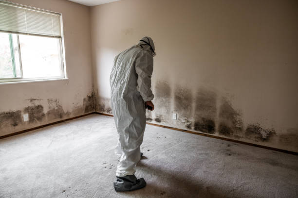 Best Mold Cleaning Services  in Pendleton, OR